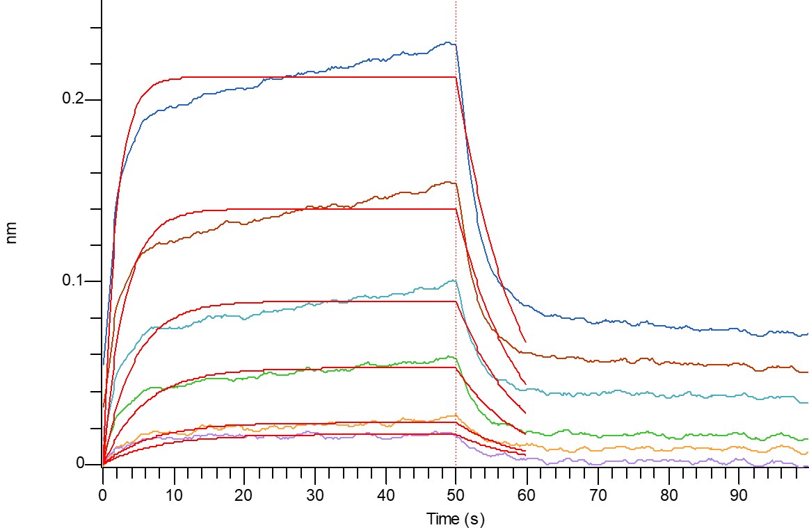 Human Nectin-2 +BLI.jpg